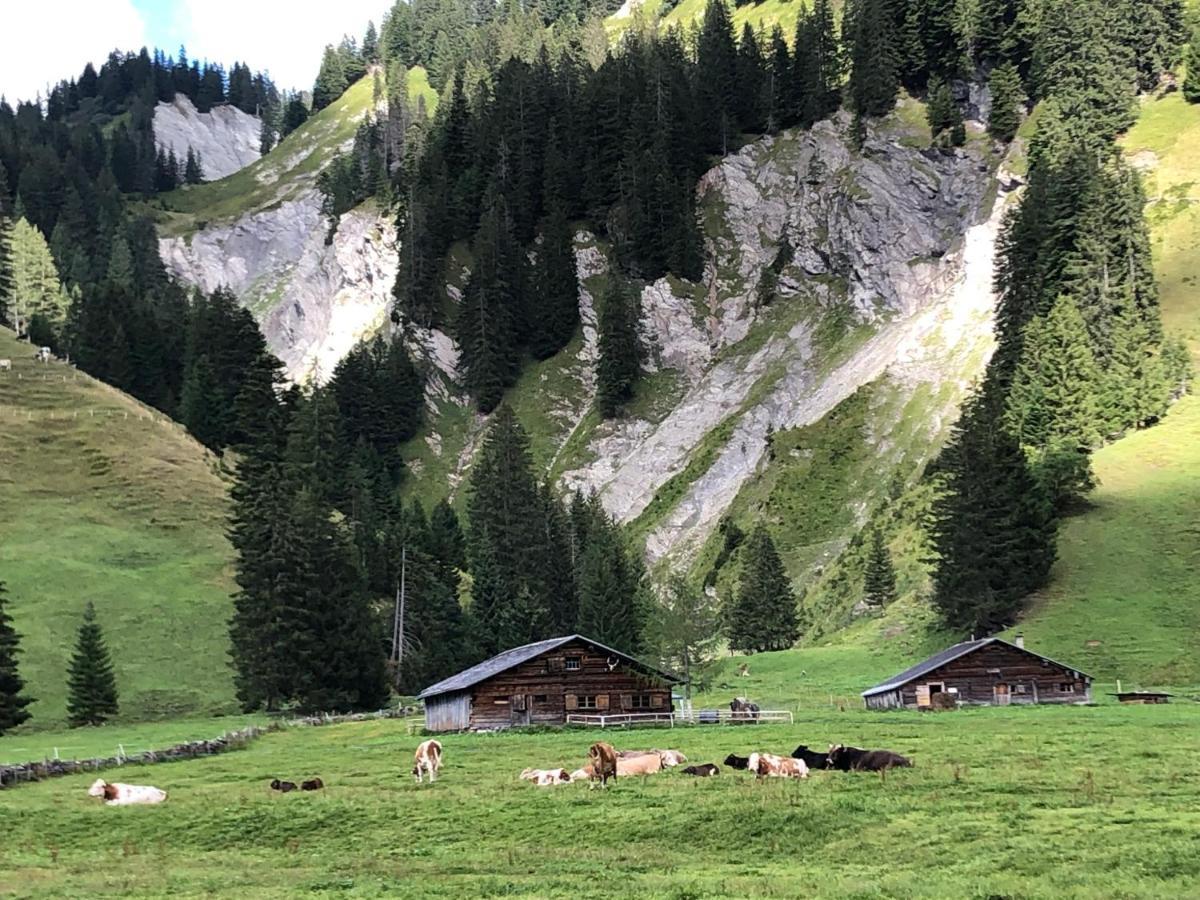 Walli Laterns - Ski Und Bergvergnuegen Direkt Vor Der Haustuer Exteriér fotografie